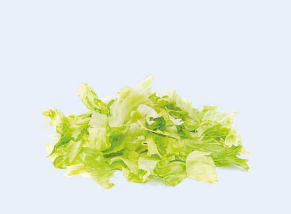 Artikelbild Eisbergsalat 7801